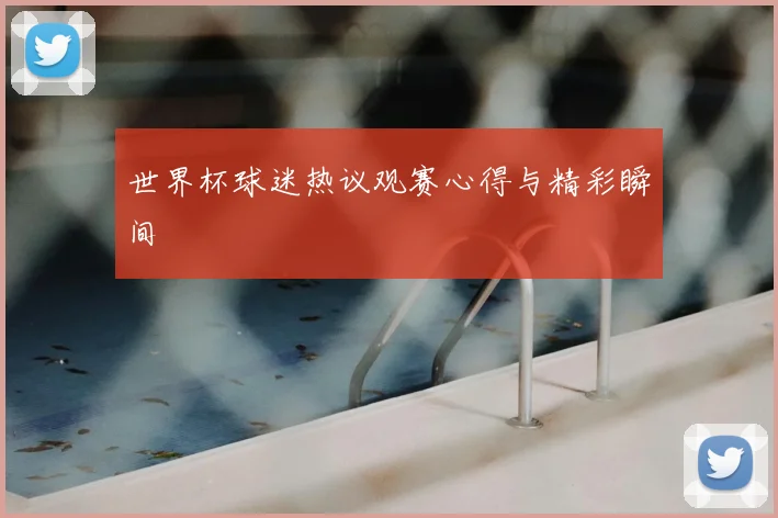 世界杯球迷热议观赛心得与精彩瞬间