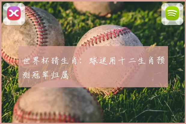 世界杯猜生肖:球迷用十二生肖预测冠军归属