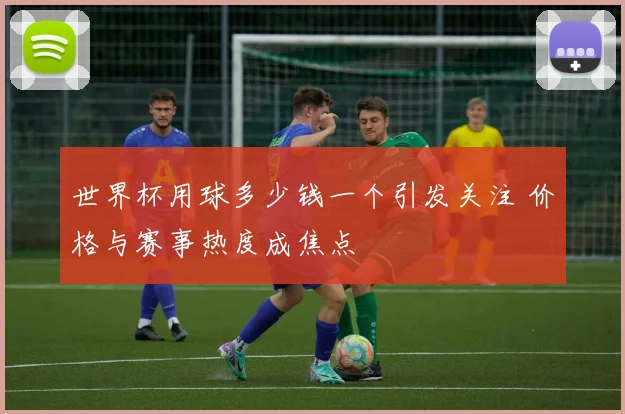 世界杯用球多少钱一个引发关注 价格与赛事热度成焦点