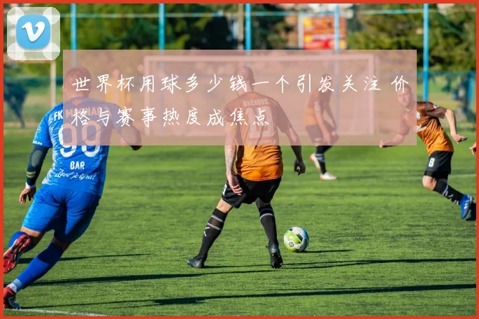 世界杯用球多少钱一个引发关注 价格与赛事热度成焦点