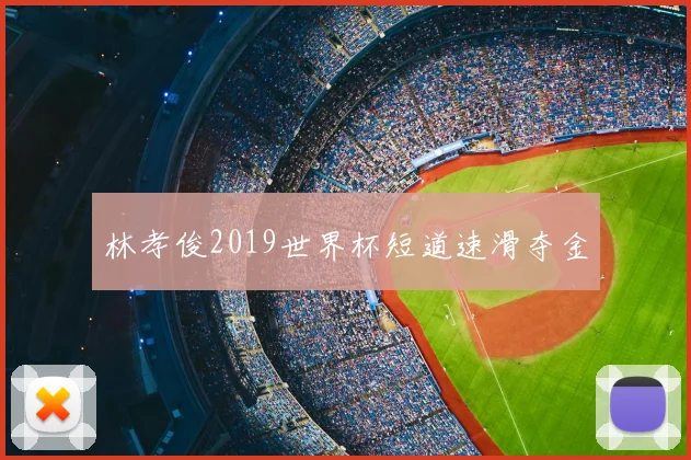 林孝俊2019世界杯短道速滑夺金