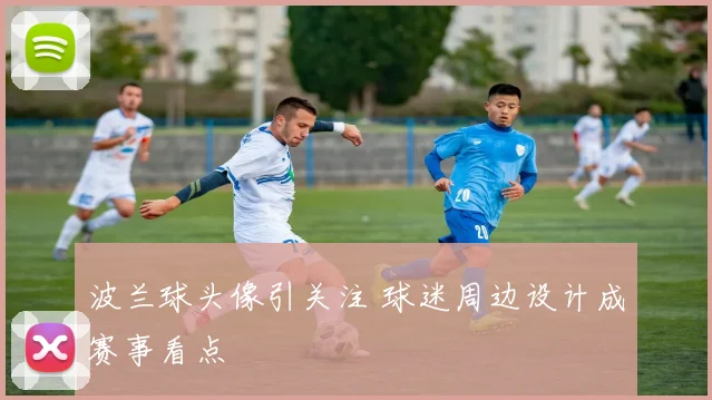波兰球头像引关注 球迷周边设计成赛事看点